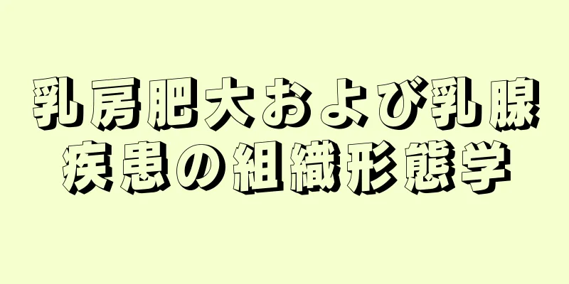 乳房肥大および乳腺疾患の組織形態学