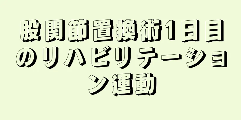 股関節置換術1日目のリハビリテーション運動