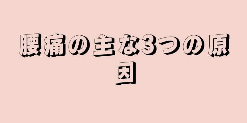 腰痛の主な3つの原因