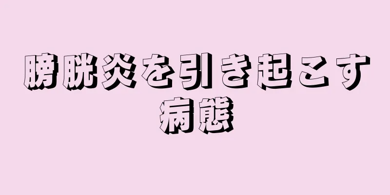 膀胱炎を引き起こす病態
