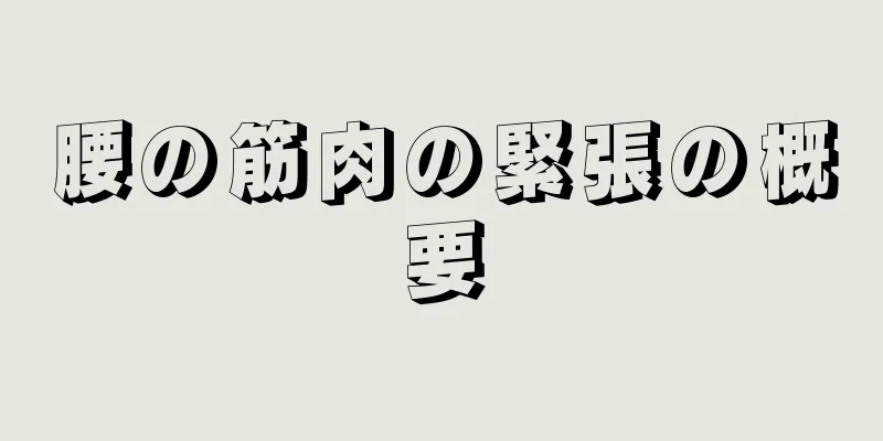 腰の筋肉の緊張の概要