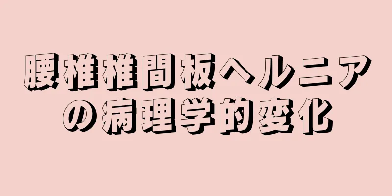 腰椎椎間板ヘルニアの病理学的変化