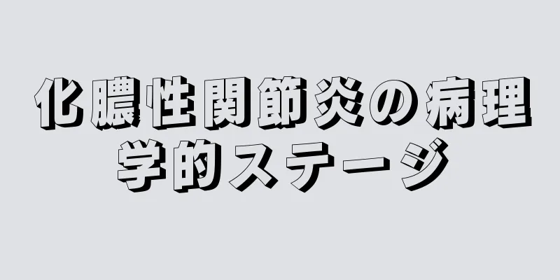 化膿性関節炎の病理学的ステージ