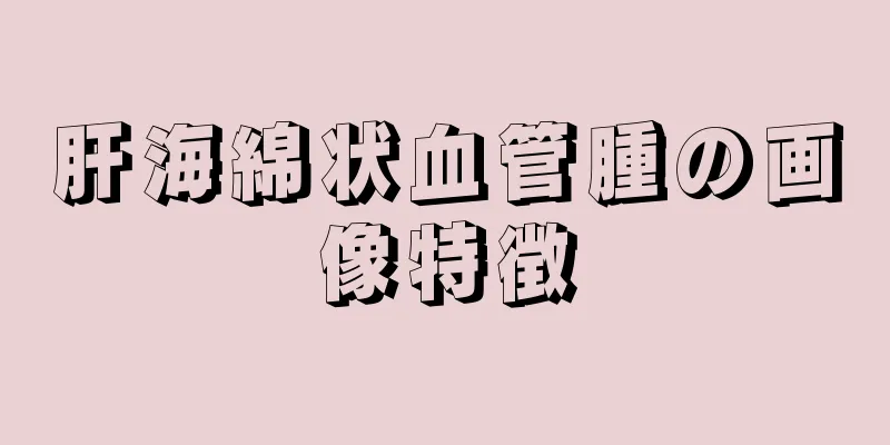 肝海綿状血管腫の画像特徴