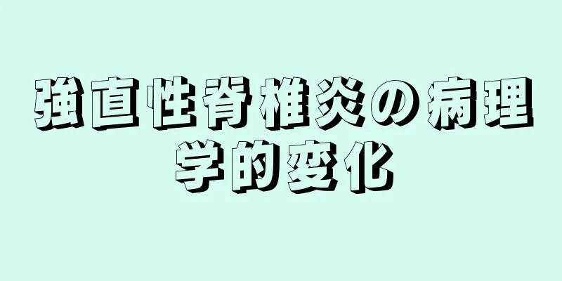 強直性脊椎炎の病理学的変化