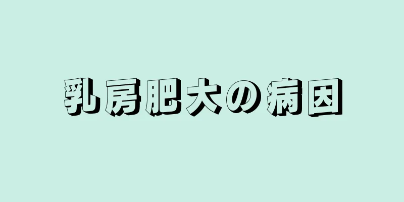 乳房肥大の病因