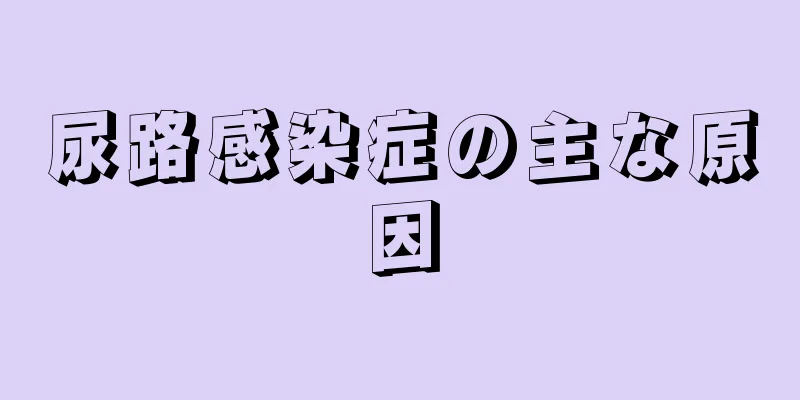 尿路感染症の主な原因