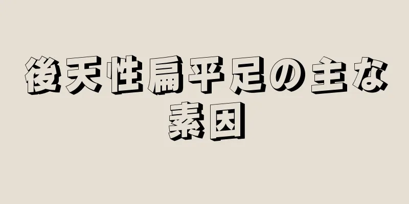 後天性扁平足の主な素因