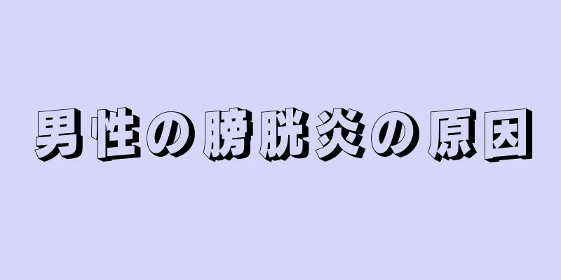 男性の膀胱炎の原因