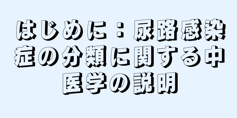 はじめに：尿路感染症の分類に関する中医学の説明