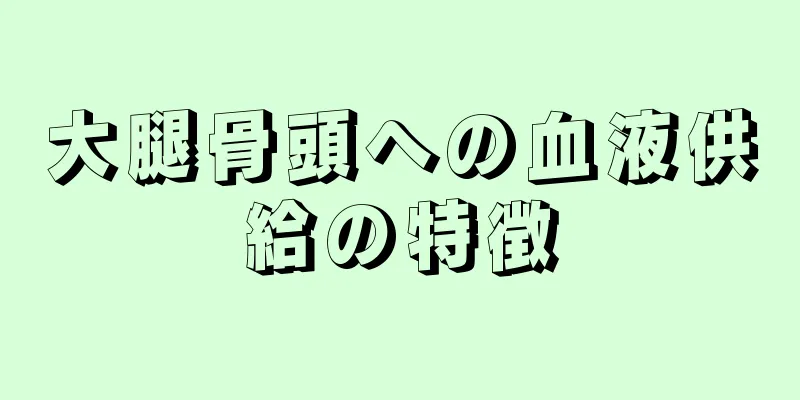 大腿骨頭への血液供給の特徴