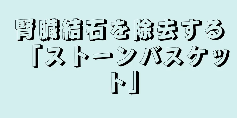 腎臓結石を除去する「ストーンバスケット」