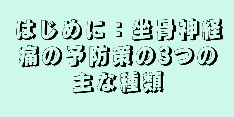 はじめに：坐骨神経痛の予防策の3つの主な種類