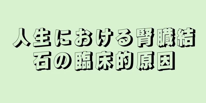 人生における腎臓結石の臨床的原因