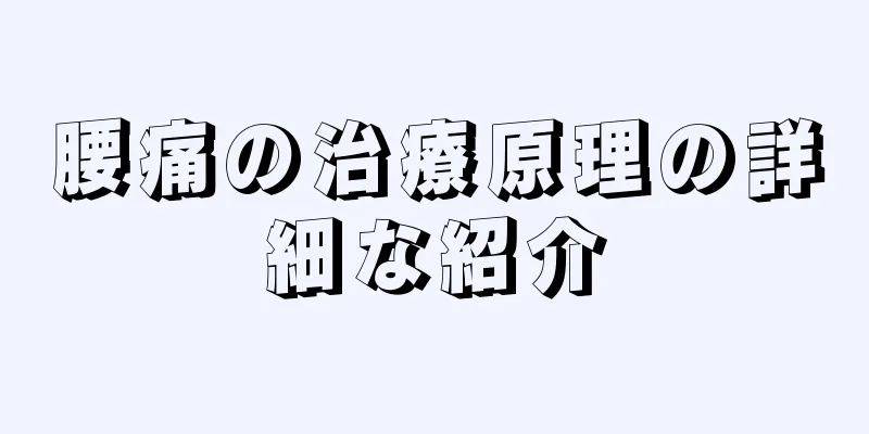 腰痛の治療原理の詳細な紹介
