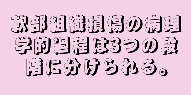 軟部組織損傷の病理学的過程は3つの段階に分けられる。