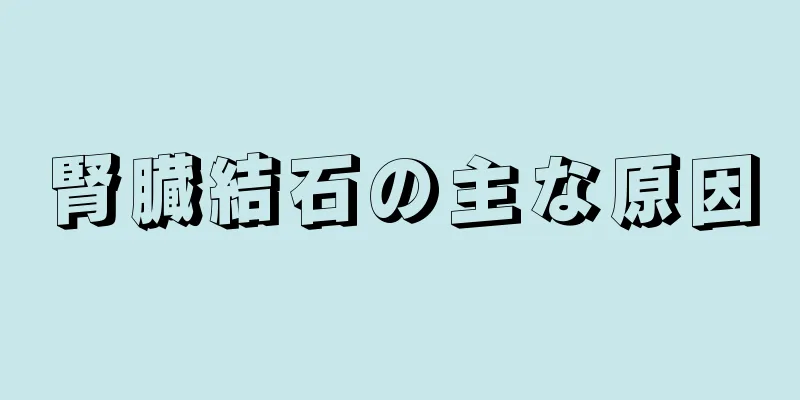 腎臓結石の主な原因