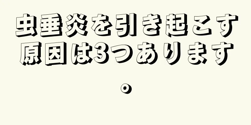 虫垂炎を引き起こす原因は3つあります。