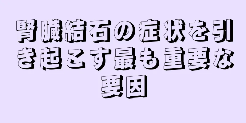 腎臓結石の症状を引き起こす最も重要な要因