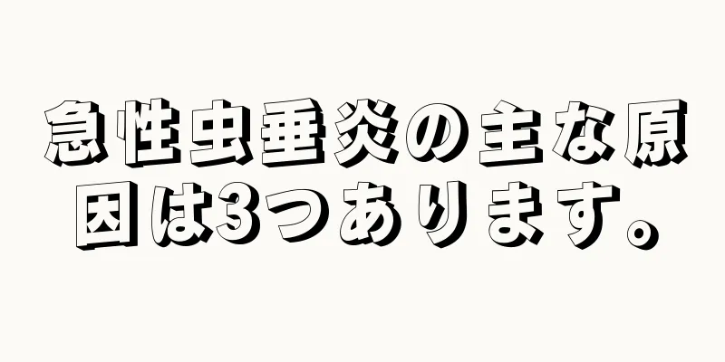 急性虫垂炎の主な原因は3つあります。