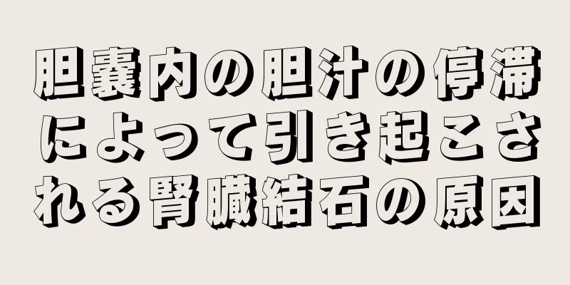 胆嚢内の胆汁の停滞によって引き起こされる腎臓結石の原因