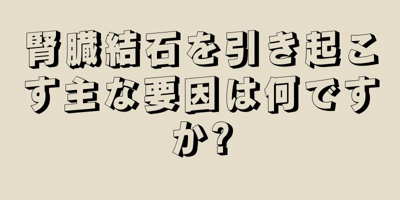 腎臓結石を引き起こす主な要因は何ですか?