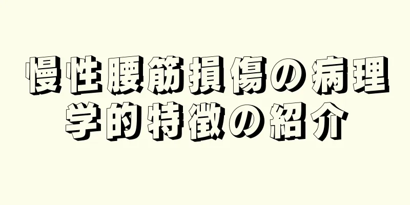 慢性腰筋損傷の病理学的特徴の紹介