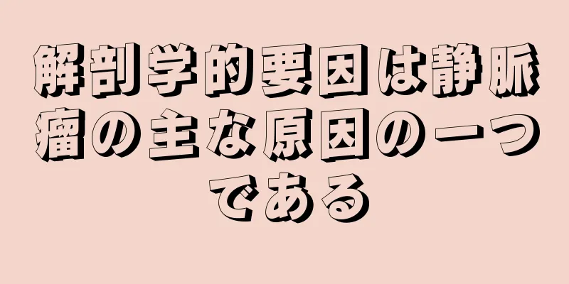 解剖学的要因は静脈瘤の主な原因の一つである