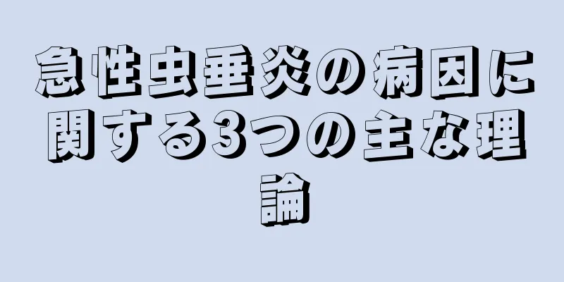 急性虫垂炎の病因に関する3つの主な理論