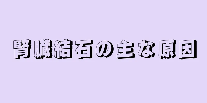 腎臓結石の主な原因