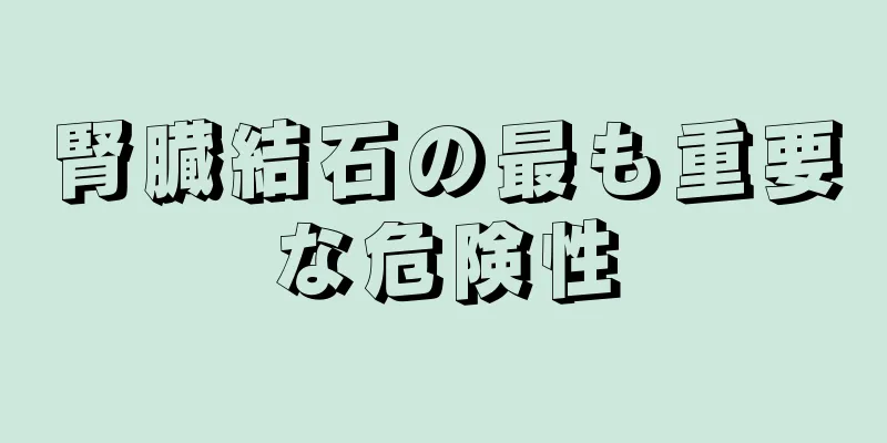 腎臓結石の最も重要な危険性
