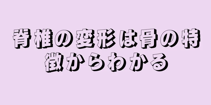 脊椎の変形は骨の特徴からわかる