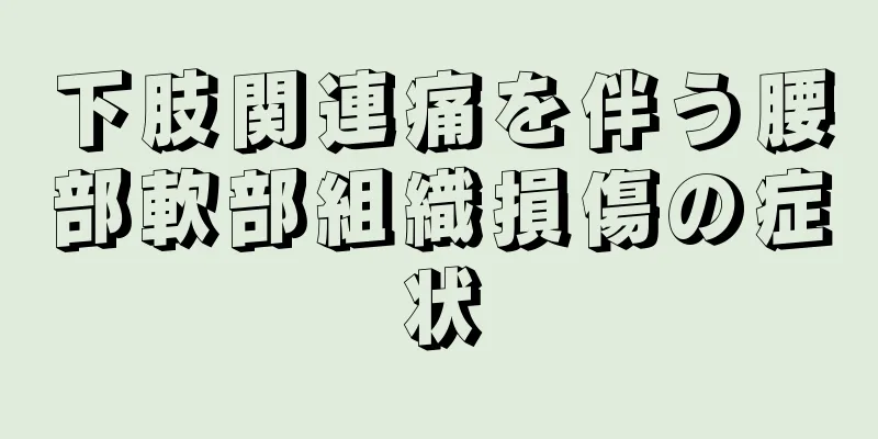 下肢関連痛を伴う腰部軟部組織損傷の症状