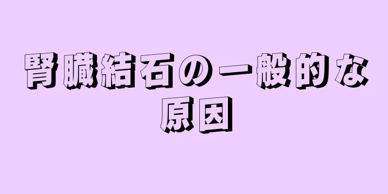 腎臓結石の一般的な原因