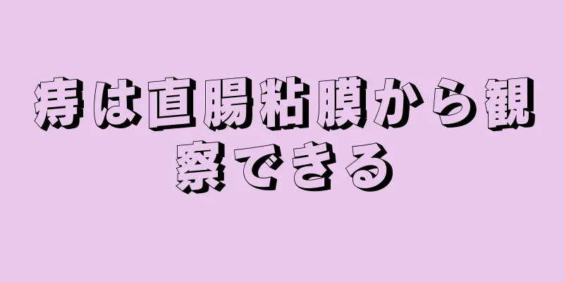 痔は直腸粘膜から観察できる