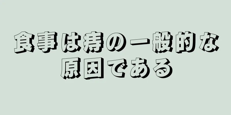 食事は痔の一般的な原因である