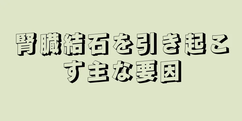 腎臓結石を引き起こす主な要因
