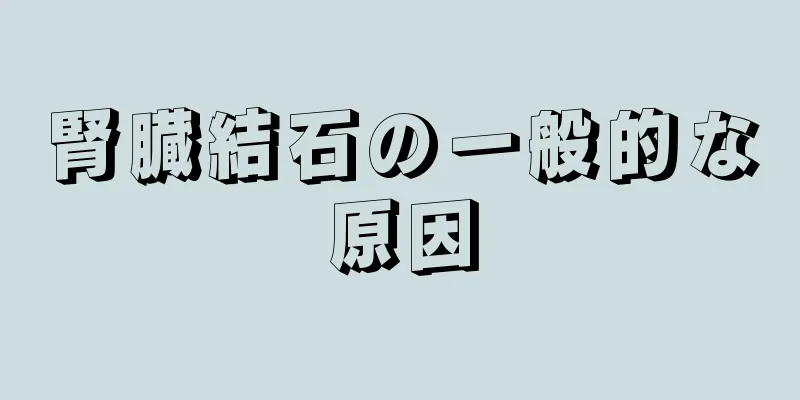 腎臓結石の一般的な原因