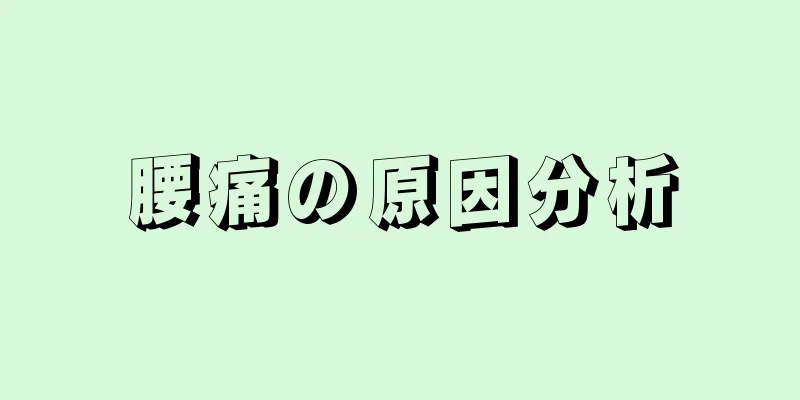 腰痛の原因分析