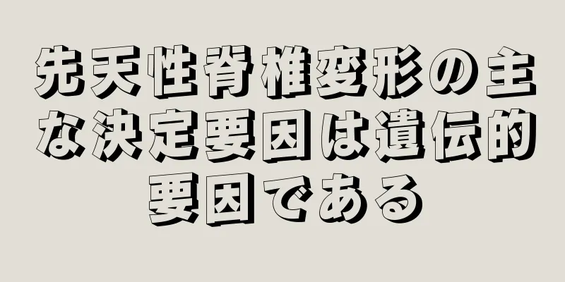 先天性脊椎変形の主な決定要因は遺伝的要因である