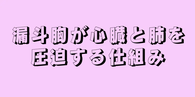 漏斗胸が心臓と肺を圧迫する仕組み