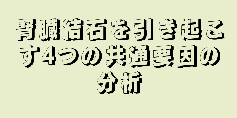腎臓結石を引き起こす4つの共通要因の分析