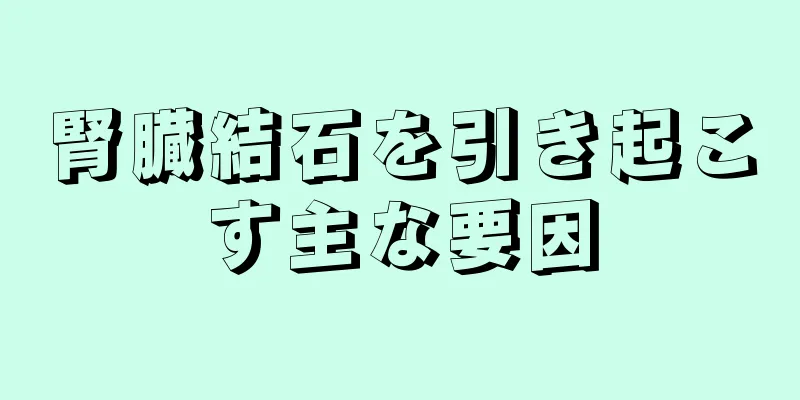 腎臓結石を引き起こす主な要因