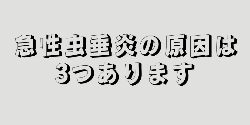 急性虫垂炎の原因は3つあります