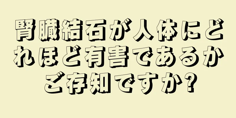 腎臓結石が人体にどれほど有害であるかご存知ですか?