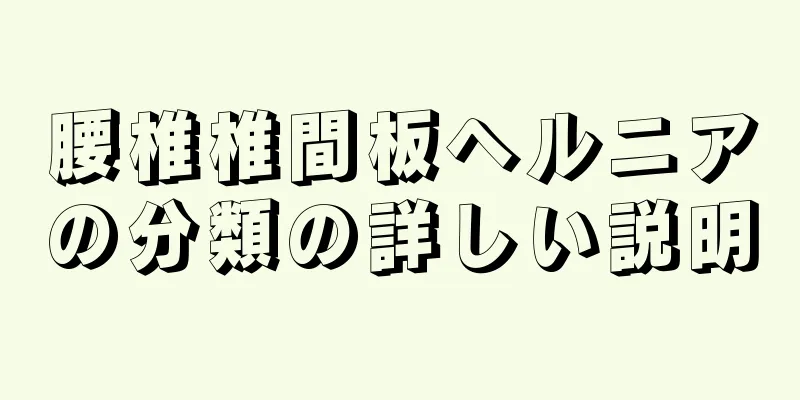 腰椎椎間板ヘルニアの分類の詳しい説明