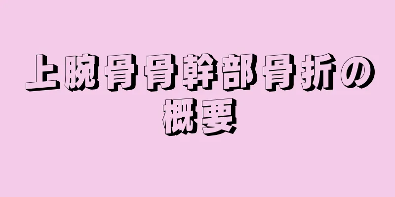 上腕骨骨幹部骨折の概要