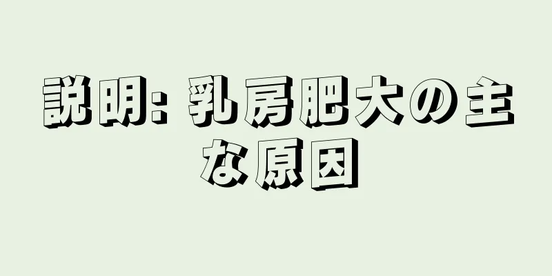 説明: 乳房肥大の主な原因