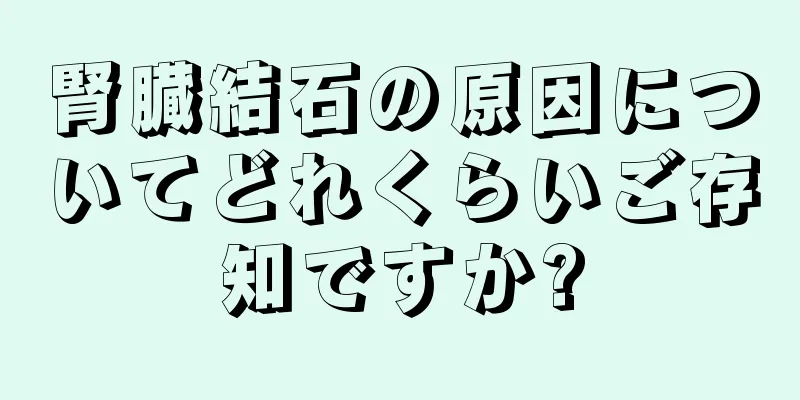 腎臓結石の原因についてどれくらいご存知ですか?