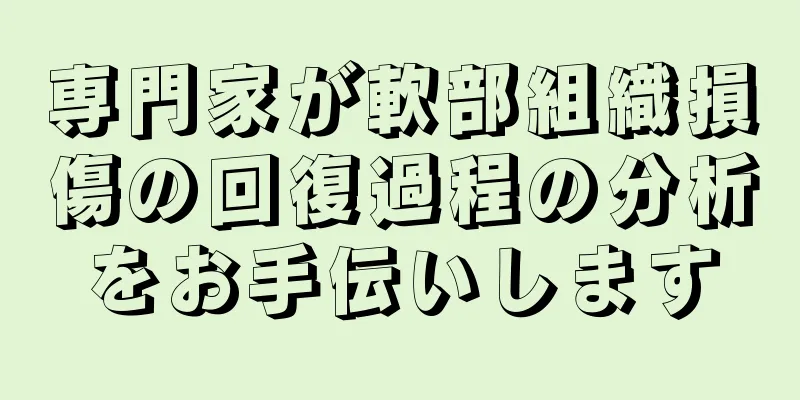 専門家が軟部組織損傷の回復過程の分析をお手伝いします